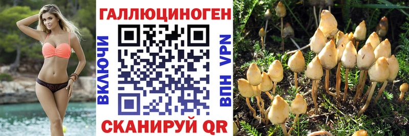 Купить закладки  Фурманов  Галлюциногенные грибы Psilocybine cubensis 