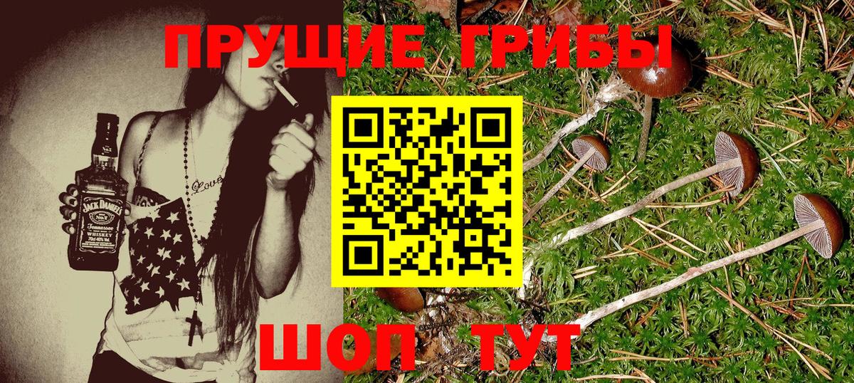 Галлюциногенные грибы MAGIC MUSHROOMS Фурманов