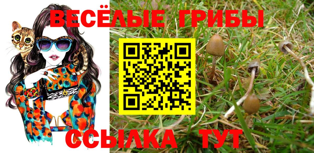 Псилоцибиновые грибы мухоморы  Псилоцибиновые грибы ЛСД  Фурманов 